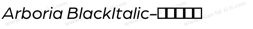 Arboria BlackItalic字体转换